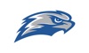 CUW Falcons