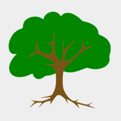 Pro Football Coaching Tree iOS App