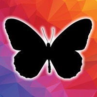 Learn shapes letters and words