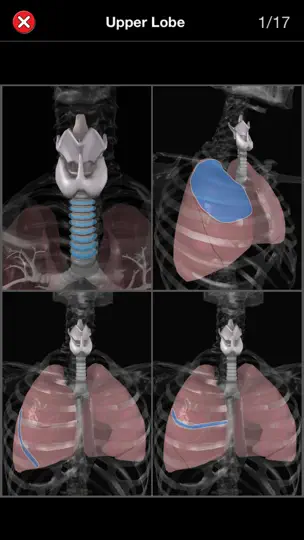 Скриншот Anatomy Quiz Pro на iPhone 5