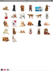 goldendoodle sticker pack ipad resimleri 2