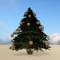 Get your own christmas tree