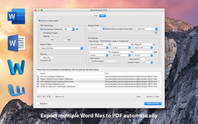 BatchOutput DOC for Word