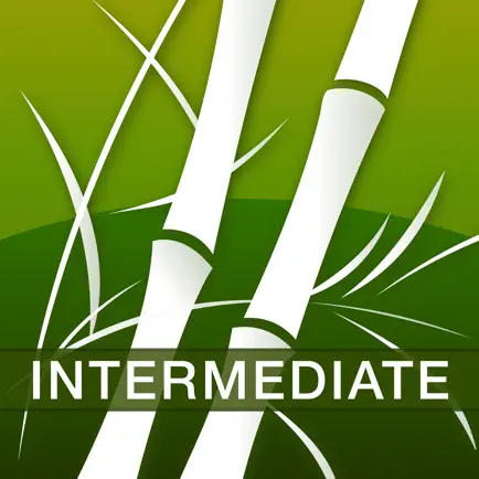Human Japanese Intermediate Читы