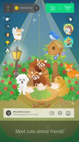 Game screenshot My Little Terrarium hack