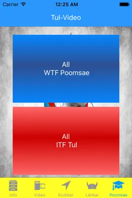 Game screenshot TaekwondoSweden apk