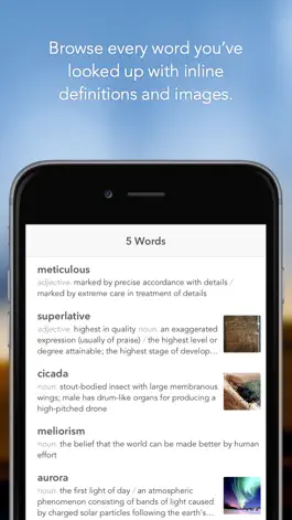Game screenshot Word Vault: Vocabulary Builder hack