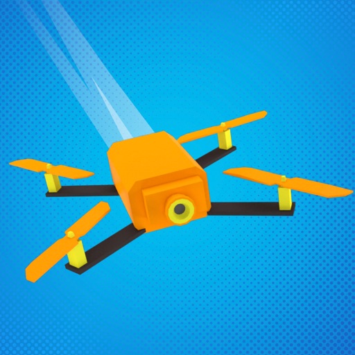 Drone Race 3D icon