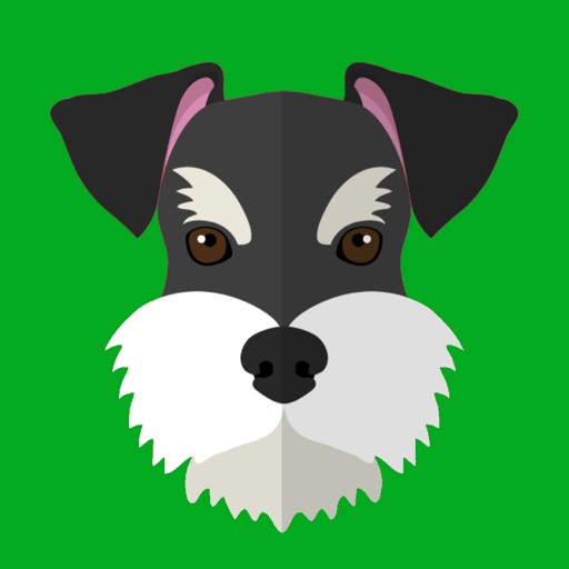 My Schnauzer