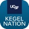 Icon Kegel Study