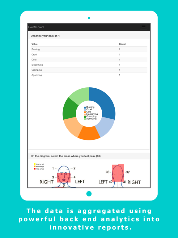 Pain Scored iPad screenshot 4 - Medical app