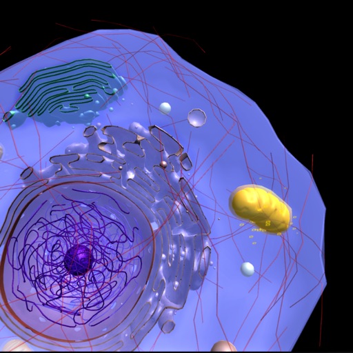 Application cells. Application cells