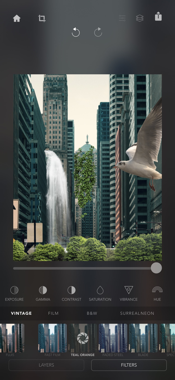 Urban Jungle Photo Editor