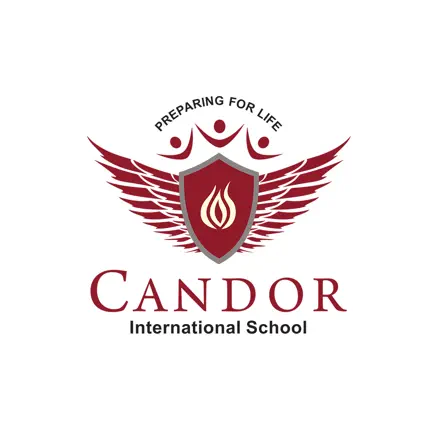 Candor International School Читы