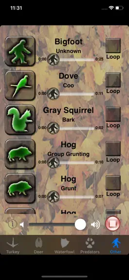 Game screenshot Critter Call mod apk