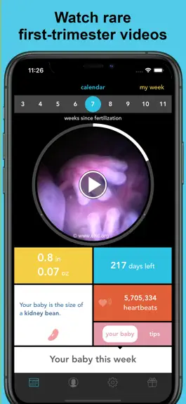 Game screenshot MyBaby Pregnancy Guide mod apk