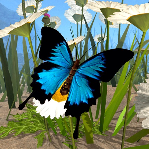 Butterfly Simulator Icon