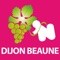 Guide touristique de Dijon, Beaune et de la Route de Grands Crus de Bourgogne