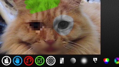 Screenshot #3 pour Quick Touch Photo Effect