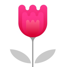 Wholesale Flowers Store