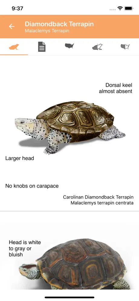Reptiles & Amphibians of NA
