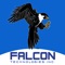 Falcon Technologies, founded in 1990