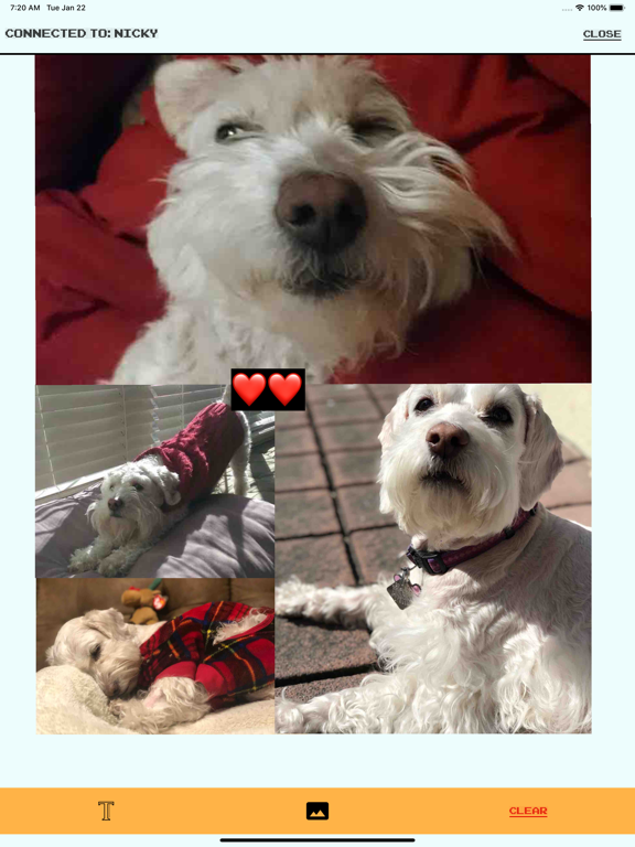 Portal- iPad screenshot 3 - Entertainment app