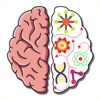 Brain Crazy icon