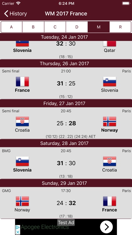 Handball WC 2019 screenshot-4