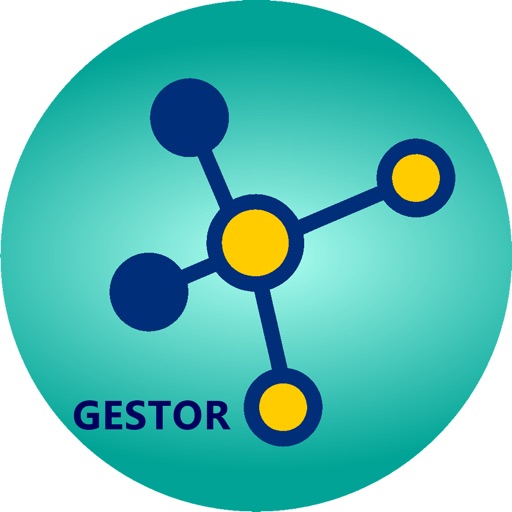 Gestor Colégio Albert Einstein