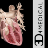 Heart Pro III - 3D4Medical from Elsevier