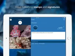Tortuba screenshot 10