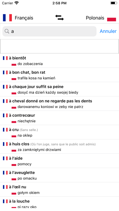 Dictionnaire Polonais-Français Screenshot