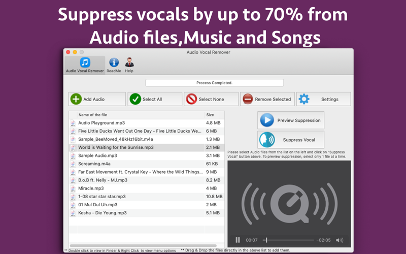 Audio Vocal Remover thumbnail 1