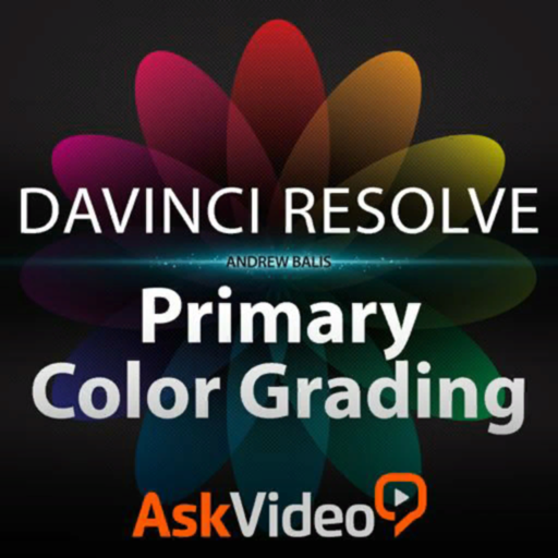 Primary Color Grading Course icon