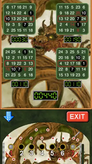 Bingo Pinball Dragon screenshot 2