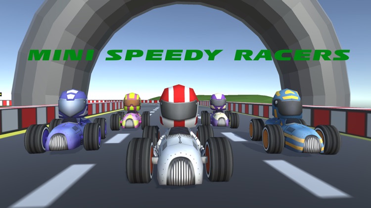Mini Speedy Racers screenshot-0