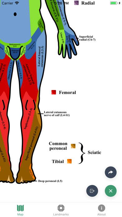 Dermatomesのおすすめ画像2