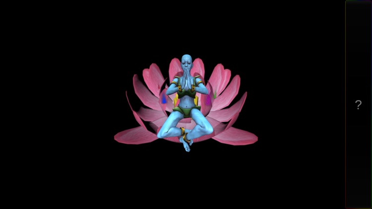 Chakra Experience
