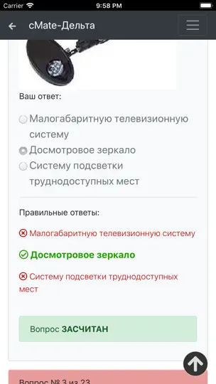 Скриншот Дельта ОСПС ISPS. CMate на iPhone 9