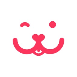 Bingo - Dog Insurance