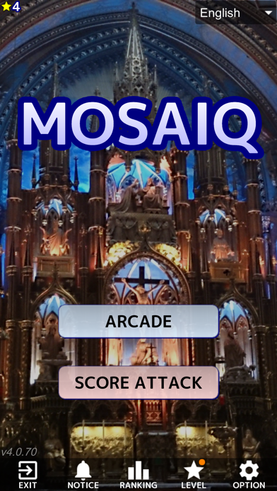 MOSAIQ Screenshot