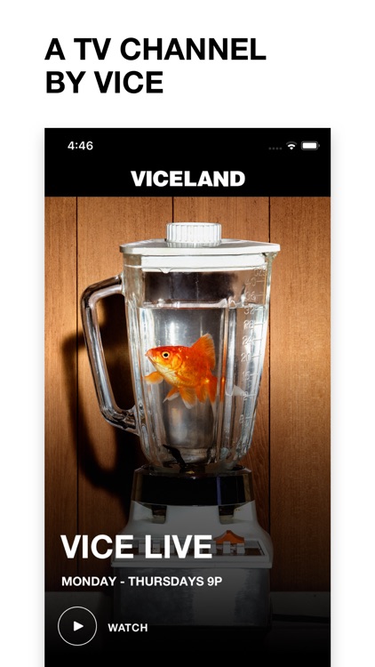 VICELAND screenshot-0