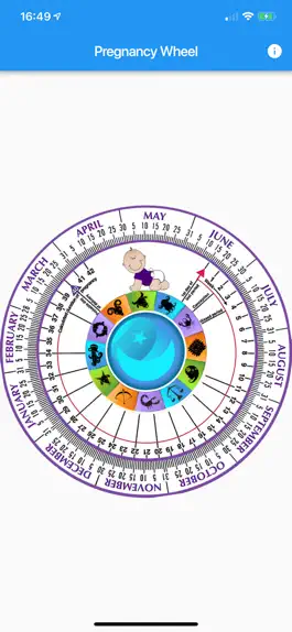 Game screenshot Pregnancy Wheel HD apk