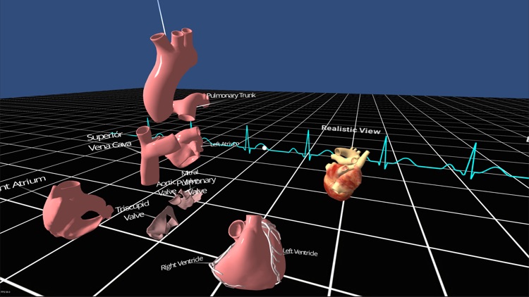 Living Heart for Cardboard VR