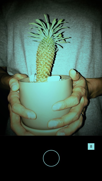 DAZZL CAM screenshot-7