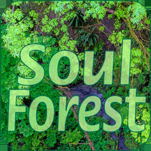 Soul Forest