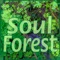 Whether you are bored after school or stressed before a board meeting, Soul Forest is a playful environment to uplift your mind, body, and soul