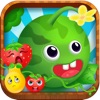 Fruit Pi icon