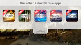Game screenshot Relax Nature: Cave hack